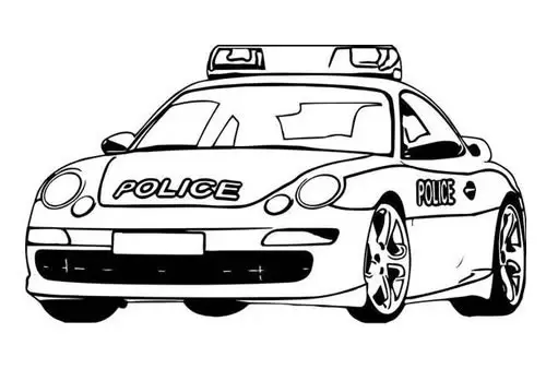 Tô Màu Hoa 5 Cánh Rực Rỡ Sắc Màu 16