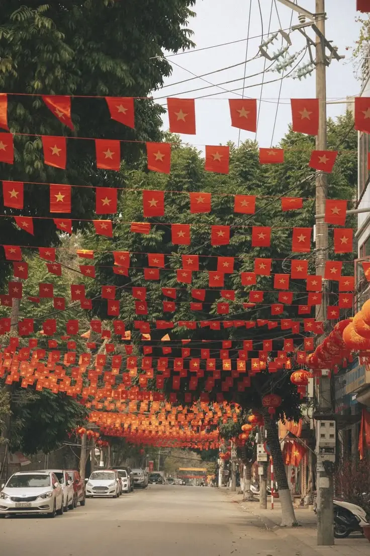 Tô Màu Hoa 5 Cánh Rực Rỡ Sắc Màu 19