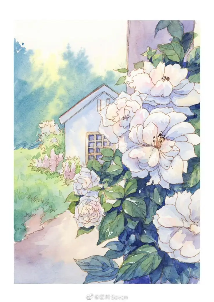 Tô Màu Hoa 5 Cánh Rực Rỡ Sắc Màu 24