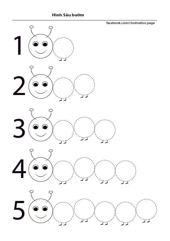 Tô Màu Hoa 5 Cánh Rực Rỡ Sắc Màu 28