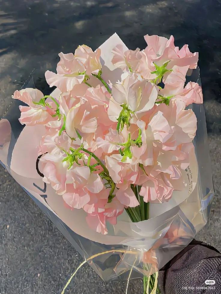 Tô Màu Hoa 5 Cánh Rực Rỡ Sắc Màu 35