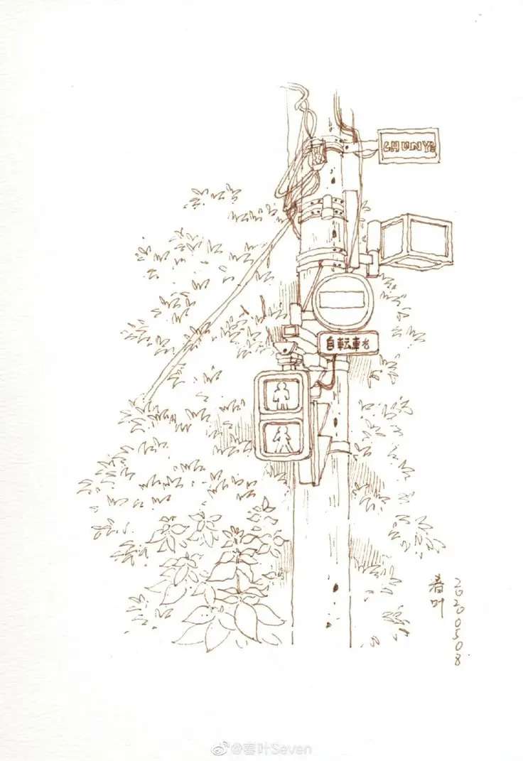 Tô Màu Hoa 5 Cánh Rực Rỡ Sắc Màu 43