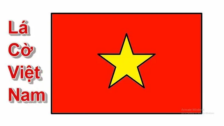 Tô Màu Hoa 5 Cánh Rực Rỡ Sắc Màu 44