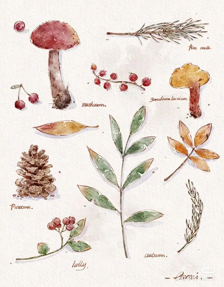 Tô Màu Hoa 5 Cánh Rực Rỡ Sắc Màu 49