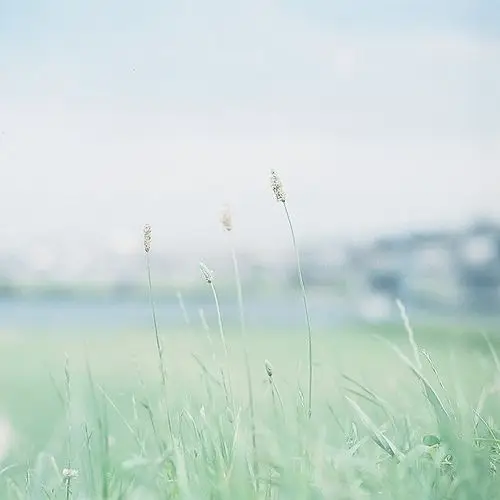 Tô Màu Hoa 5 Cánh Rực Rỡ Sắc Màu 61