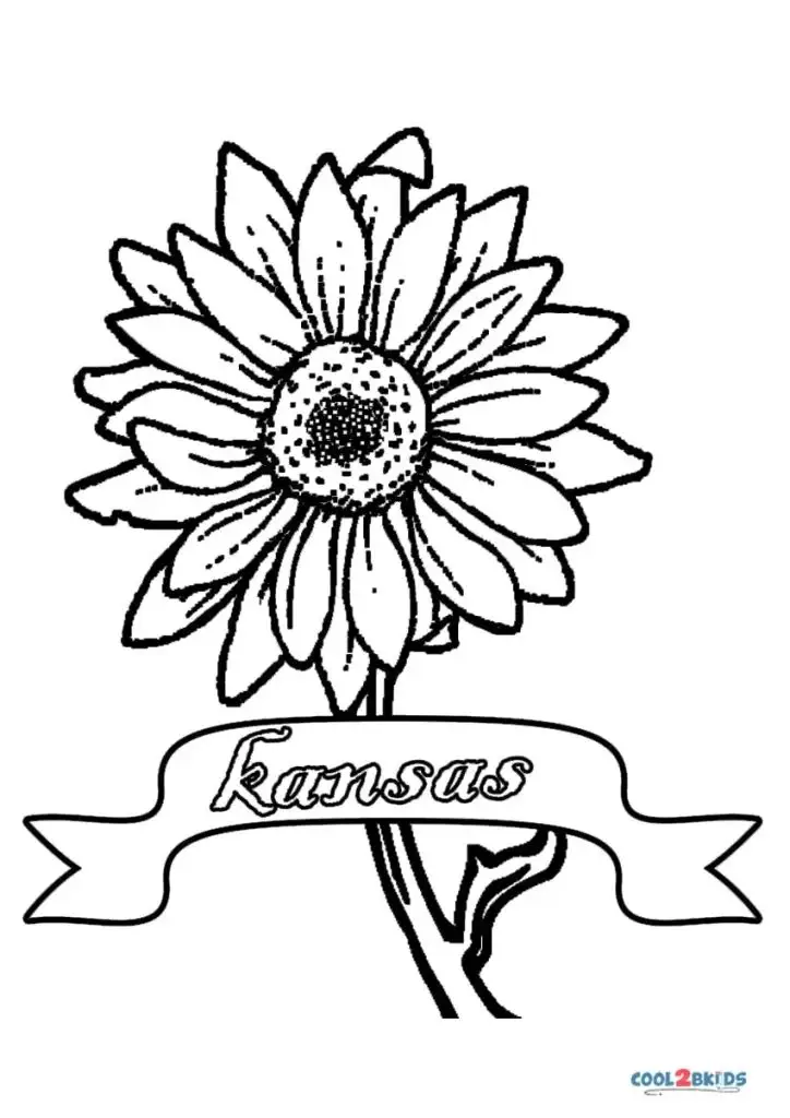 Tô màu hoa hướng dương tươi sáng cho trẻ nhỏ 14