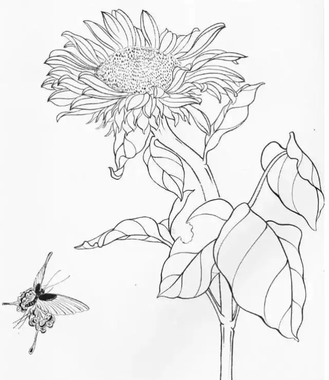 Tô màu hoa hướng dương tươi sáng cho trẻ nhỏ 33