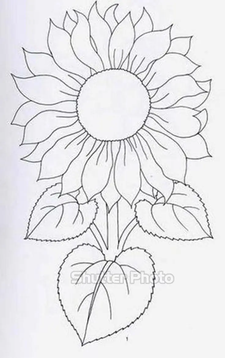 Tô màu hoa hướng dương tươi sáng cho trẻ nhỏ 34