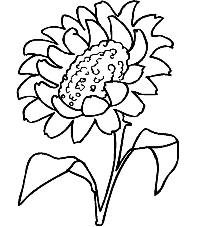 Tô màu hoa hướng dương tươi sáng cho trẻ nhỏ 37