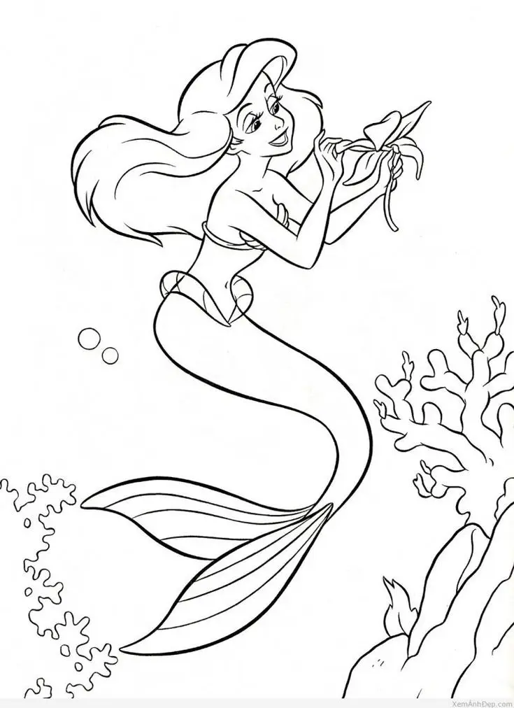 Tô màu nàng tiên cá – Hành trình vào thế giới kỳ diệu 3
