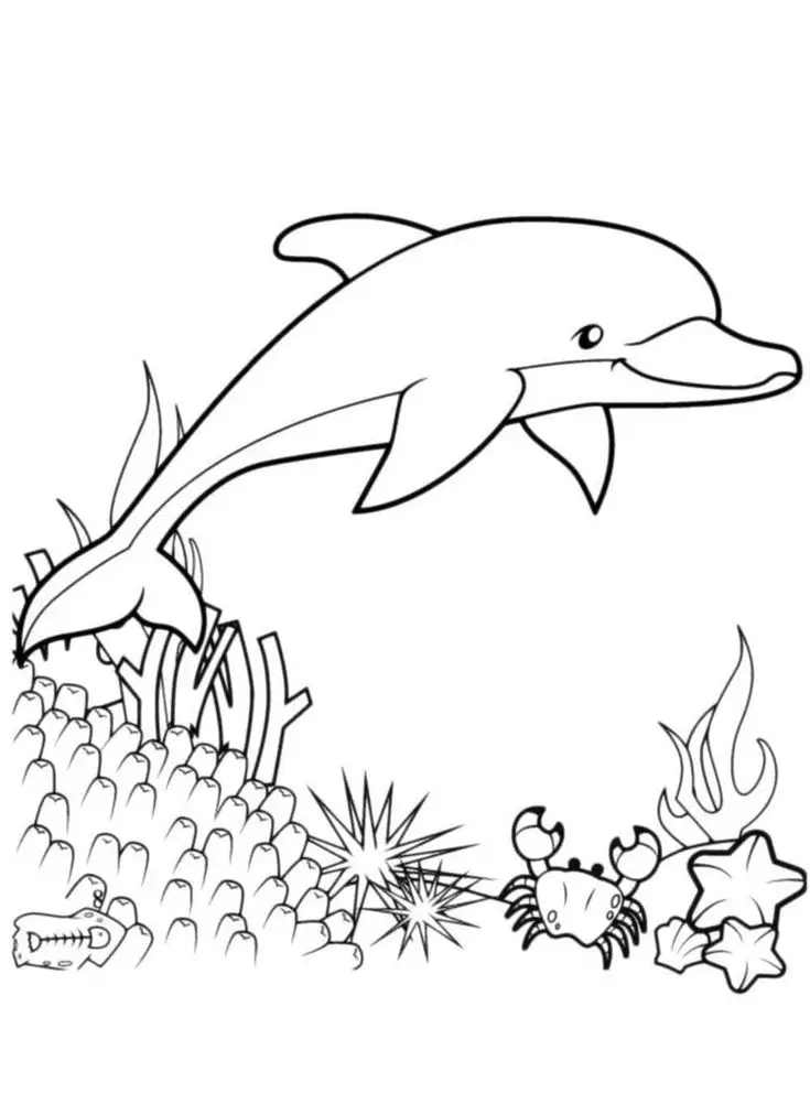 Tô Màu Vẽ Con Cá - Sáng Tạo Một Thế Giới Dưới Nước 61