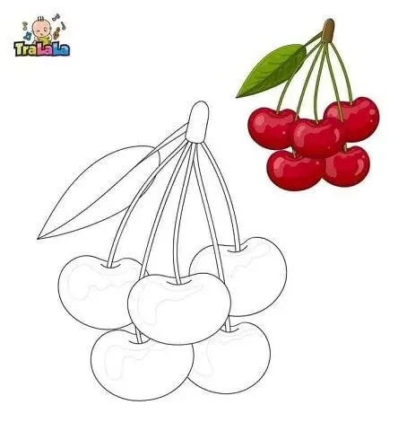 Trái Cây Tranh Tô Màu Các Loại Quả - Sáng Tạo Bộ Sưu Tập Mới 43