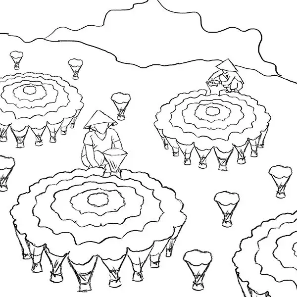 Tranh tô màu bánh chưng - Hướng dẫn tô màu truyền thống Tết 18