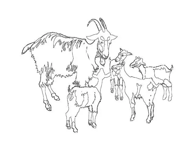 Tranh tô màu bánh chưng - Hướng dẫn tô màu truyền thống Tết 46