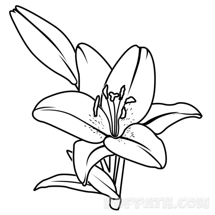 Tranh tô màu bánh chưng - Hướng dẫn tô màu truyền thống Tết 58