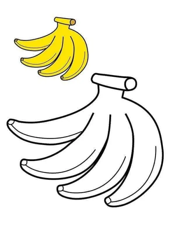 Tranh Tô Màu Các Loại Quả - Khám Phá Thế Giới Màu Sắc 8