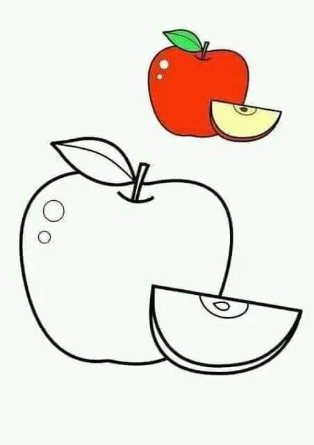 Tranh Tô Màu Các Loại Quả - Khám Phá Thế Giới Màu Sắc 11