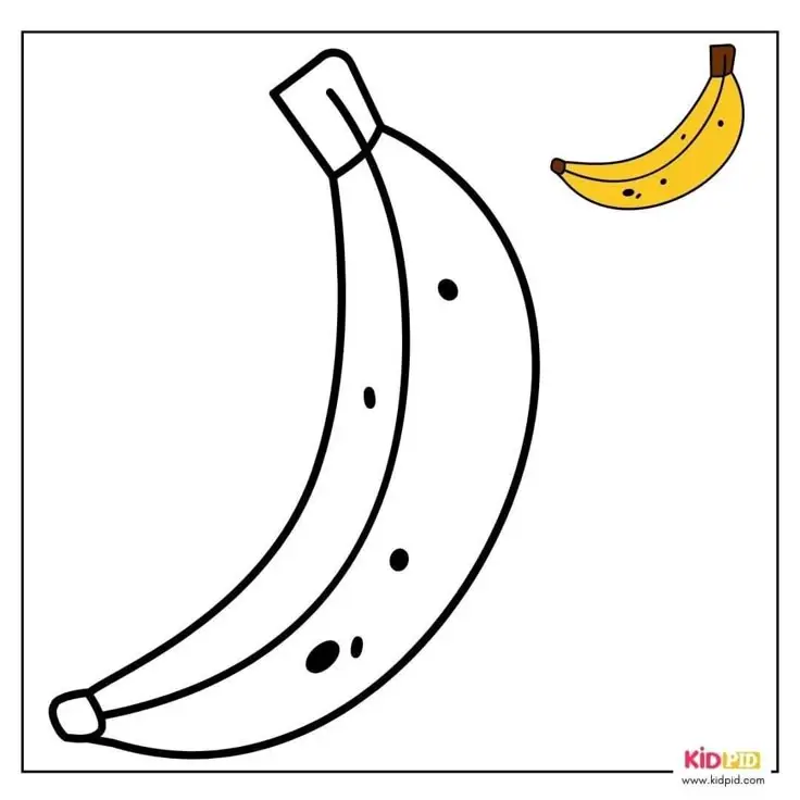 Tranh Tô Màu Các Loại Quả - Khám Phá Thế Giới Màu Sắc 43