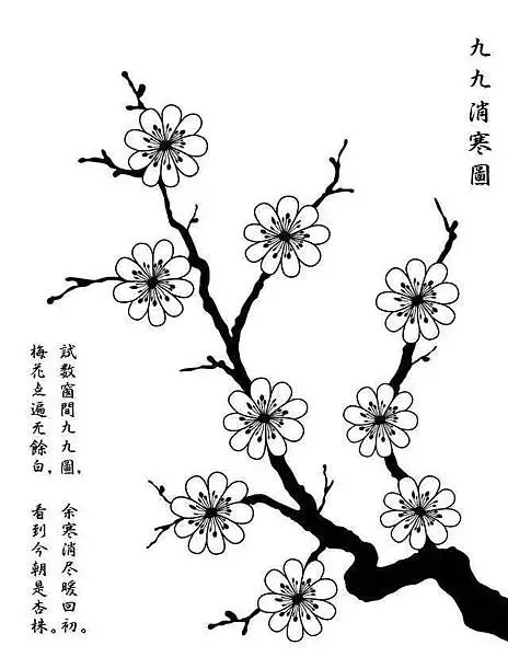 Tranh tô màu cành hoa mai - Tô màu đón Tết Nguyên Đán 4