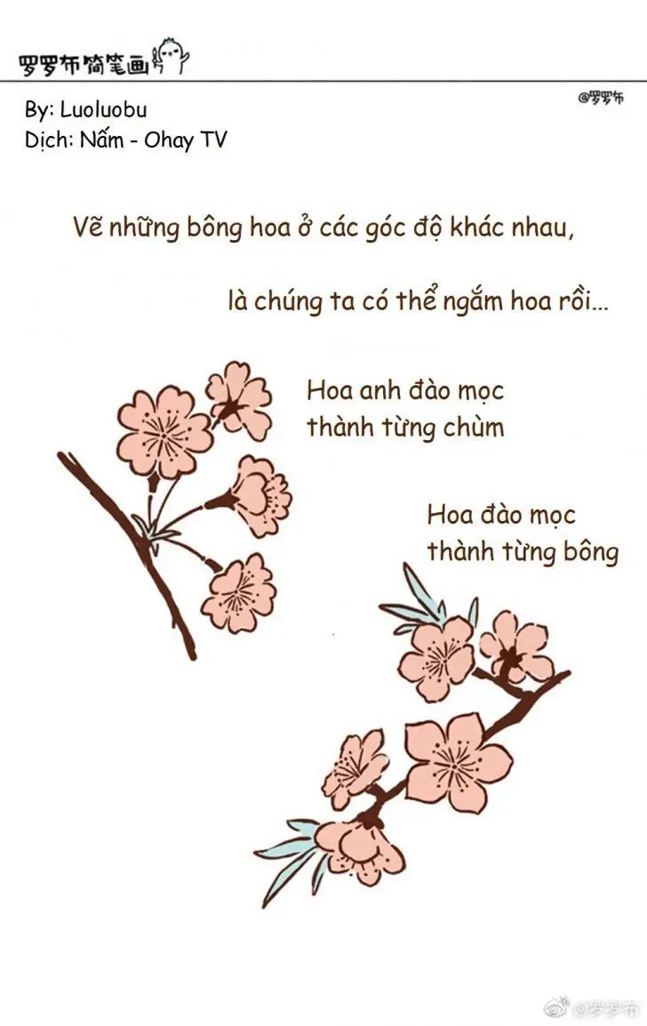 Tranh tô màu cành hoa mai - Tô màu đón Tết Nguyên Đán 10