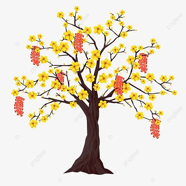 Tranh tô màu cành hoa mai - Tô màu đón Tết Nguyên Đán 11