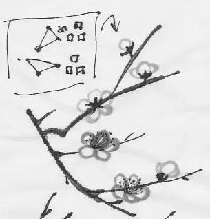 Tranh tô màu cành hoa mai - Tô màu đón Tết Nguyên Đán 21