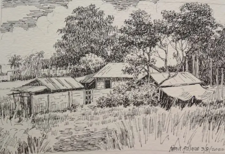 Tranh tô màu cành hoa mai - Tô màu đón Tết Nguyên Đán 41