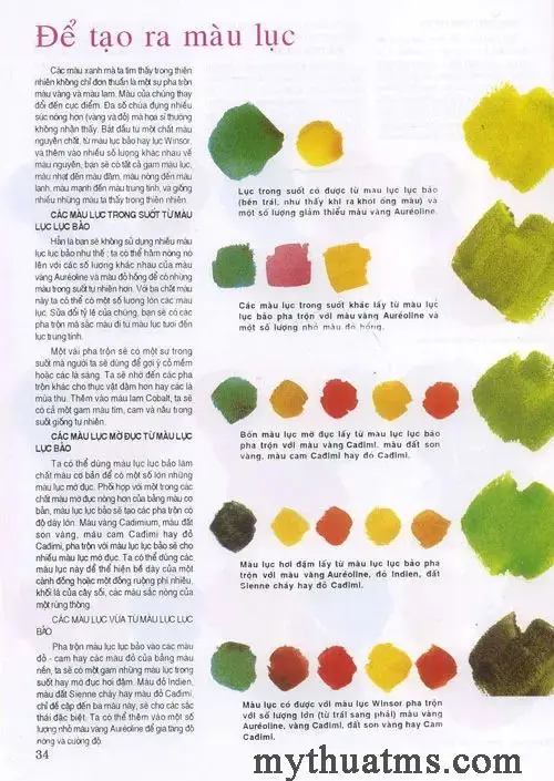 Tranh tô màu cành hoa mai - Tô màu đón Tết Nguyên Đán 42