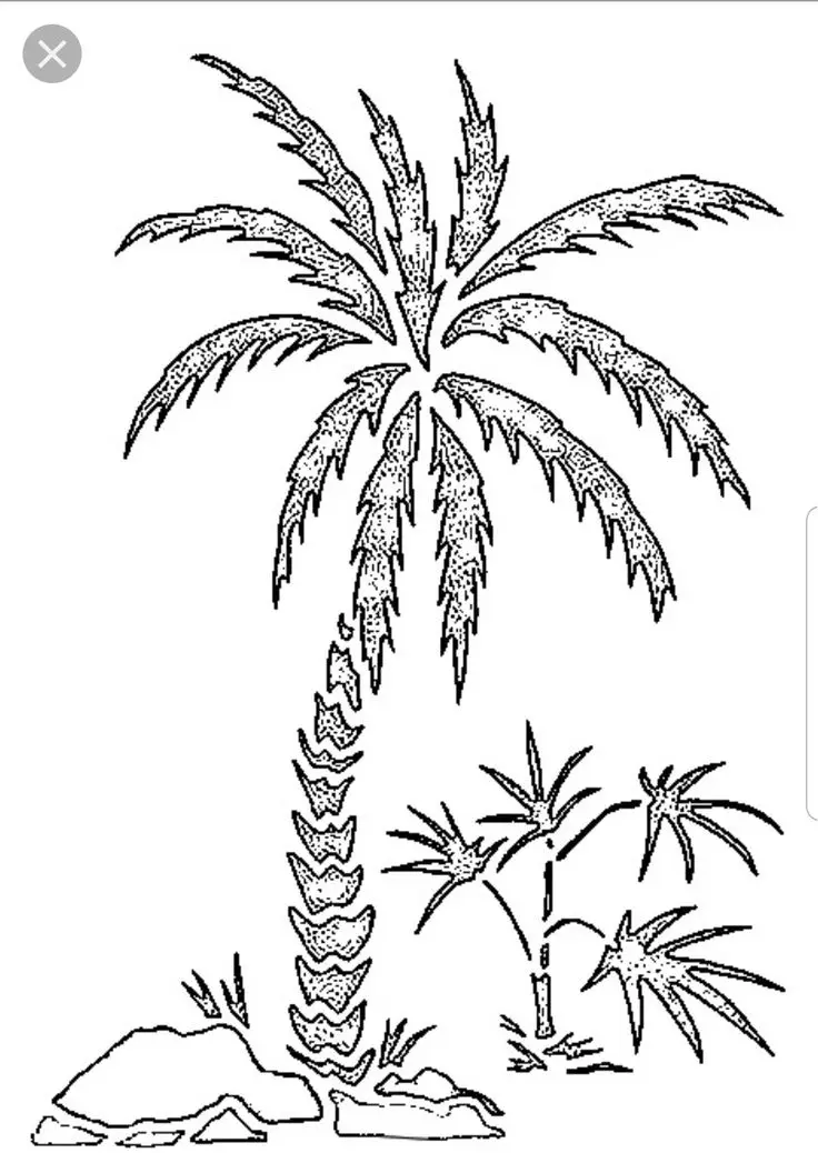 Tranh Tô Màu Cây Dừa Dễ Thương Cho Trẻ Em 8