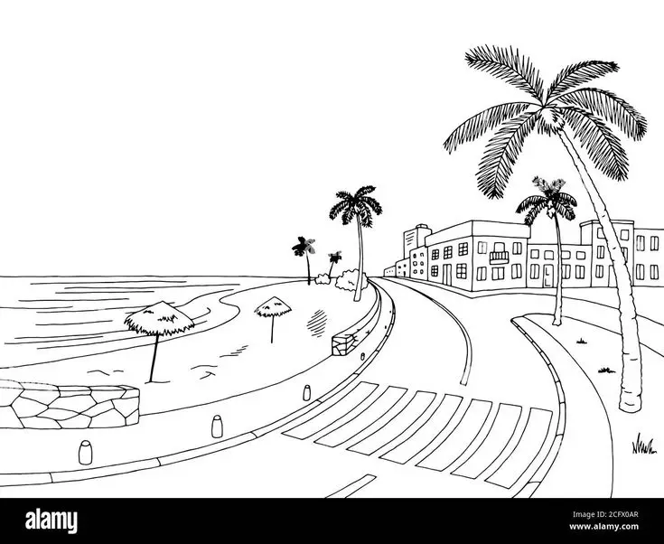 Tranh Tô Màu Cây Dừa Dễ Thương Cho Trẻ Em 19