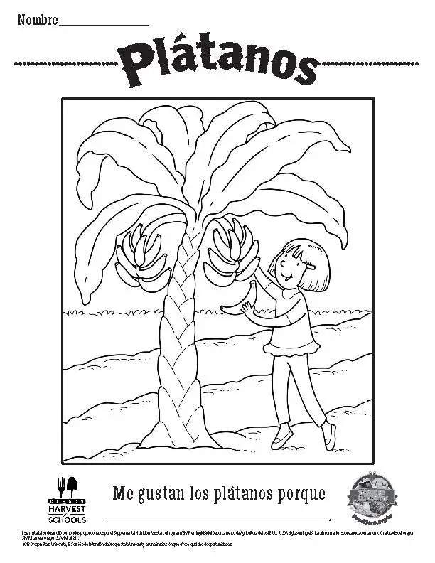 Tranh Tô Màu Cây Dừa Dễ Thương Cho Trẻ Em 30