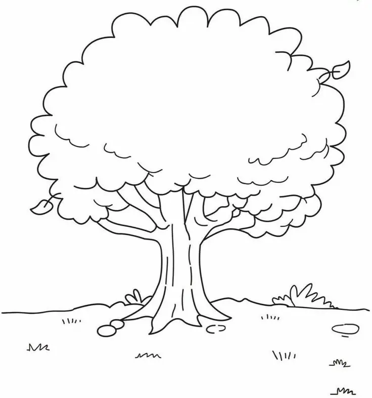 Tranh Tô Màu Cây Dừa Dễ Thương Cho Trẻ Em 36