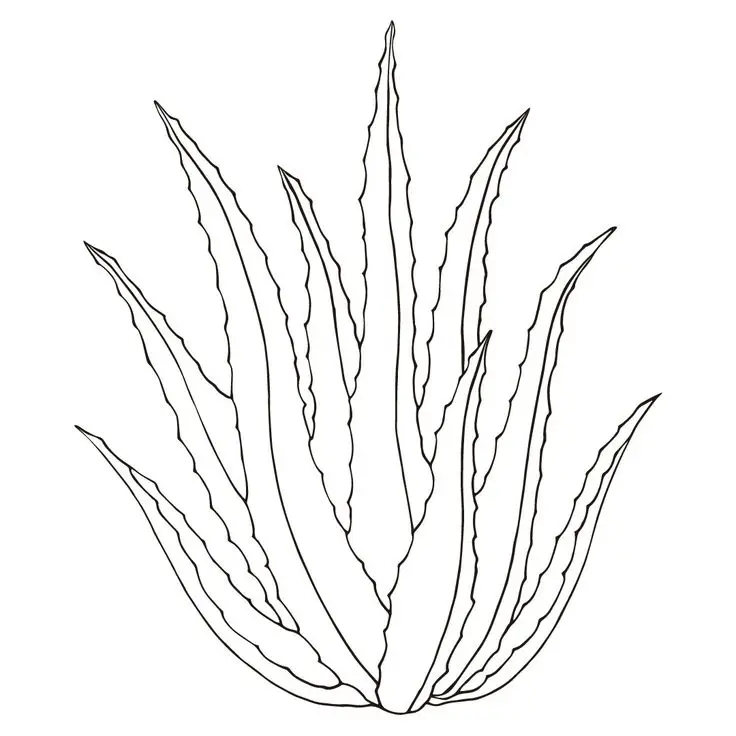 Tranh Tô Màu Cây Dừa Dễ Thương Cho Trẻ Em 46