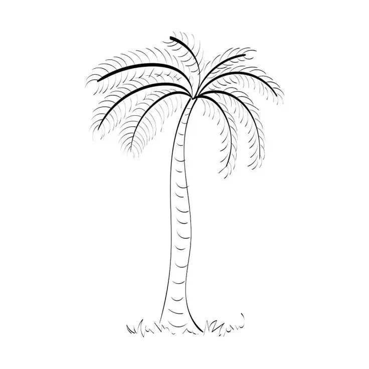 Tranh Tô Màu Cây Dừa Dễ Thương Cho Trẻ Em 55