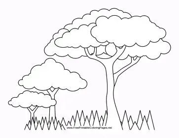 Tranh Tô Màu Cây Dừa Dễ Thương Cho Trẻ Em 60