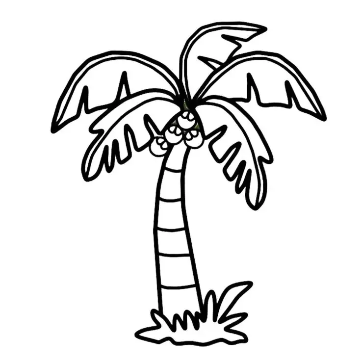 Tranh Tô Màu Cây Dừa Dễ Thương Cho Trẻ Em 63