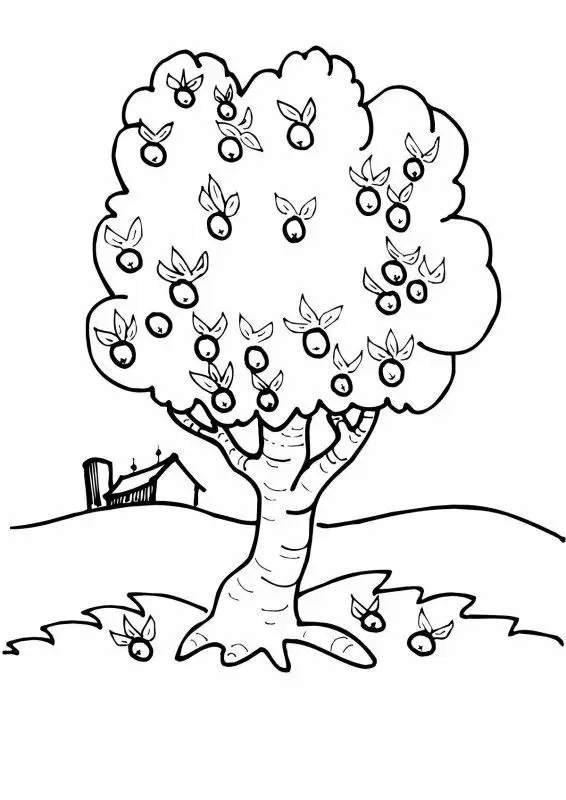 Tranh Tô Màu Cây Xanh Thú Vị Cho Trẻ 5