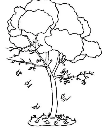 Tranh Tô Màu Cây Xanh Thú Vị Cho Trẻ 6