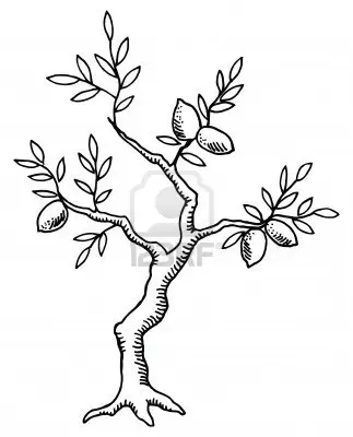 Tranh Tô Màu Cây Xanh Thú Vị Cho Trẻ 8