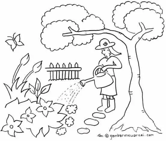 Tranh Tô Màu Cây Xanh Thú Vị Cho Trẻ 13