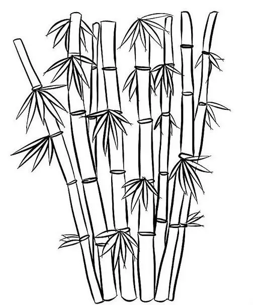 Tranh Tô Màu Cây Xanh Thú Vị Cho Trẻ 17