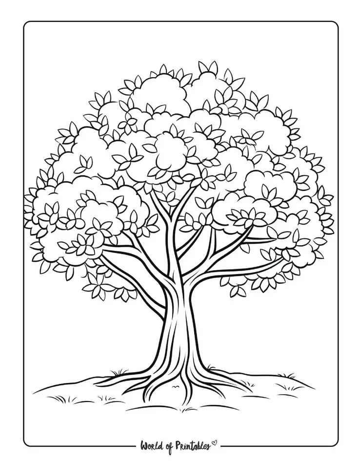 Tranh Tô Màu Cây Xanh Thú Vị Cho Trẻ 23