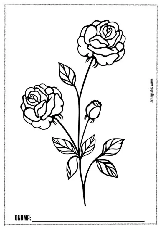 Tranh Tô Màu Cây Xanh Thú Vị Cho Trẻ 25