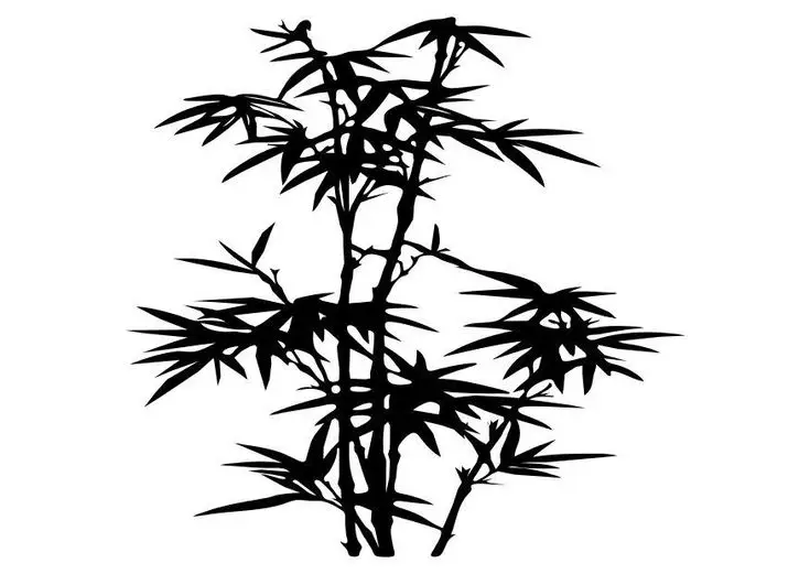 Tranh Tô Màu Cây Xanh Thú Vị Cho Trẻ 44