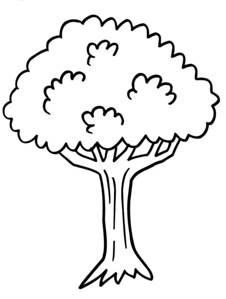 Tranh Tô Màu Cây Xanh Thú Vị Cho Trẻ 66