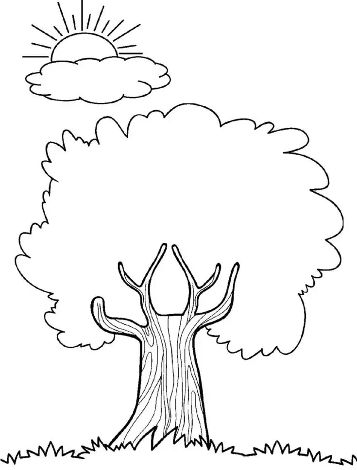 Tranh Tô Màu Cây Xanh Thú Vị Cho Trẻ 67