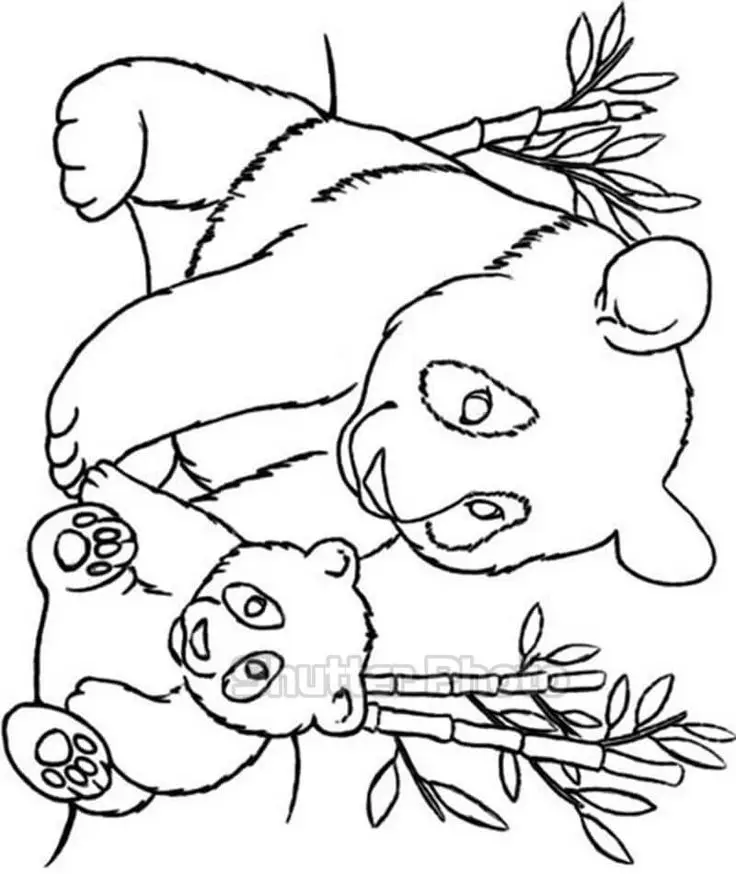 Tranh tô màu cho bé trai thích khám phá 52