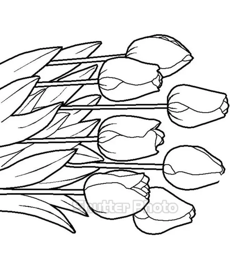 Tranh tô màu con người – Tạo hình vui nhộn 8