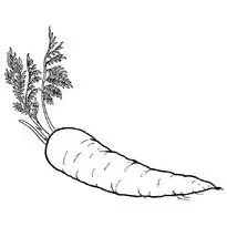 Tranh Tô Màu Củ Cà Rốt Ngộ Nghĩnh 10