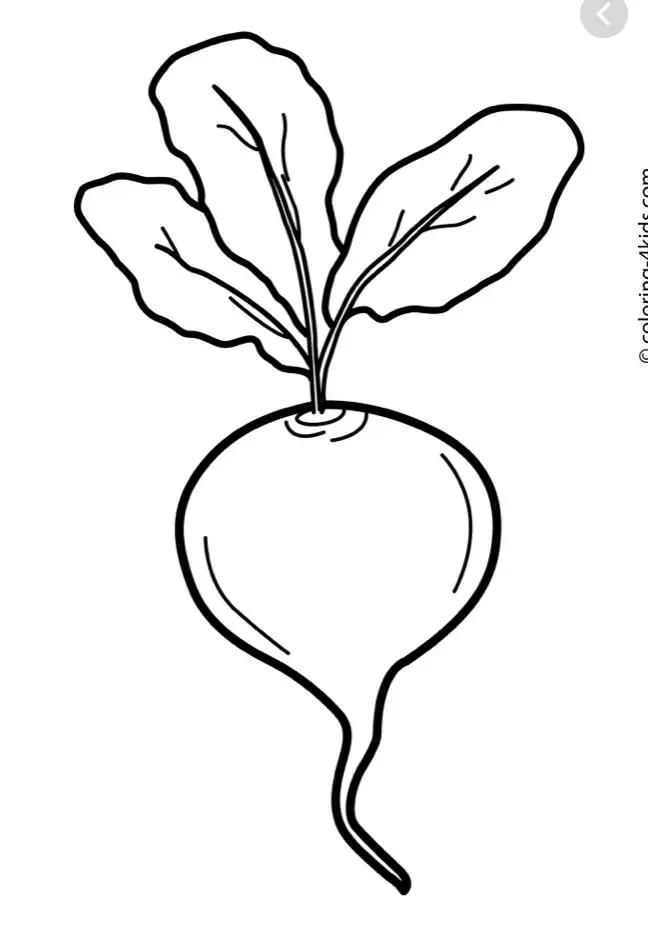 Tranh Tô Màu Củ Cà Rốt Ngộ Nghĩnh 14